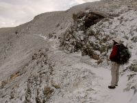 Light snow in Glacier